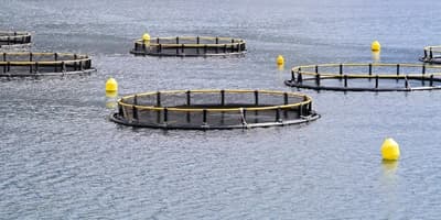 aquaculture course online
