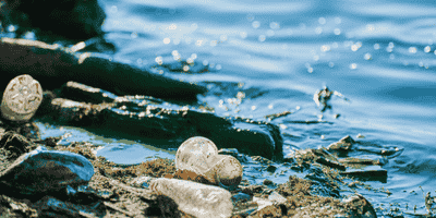 Environmental Awareness Training