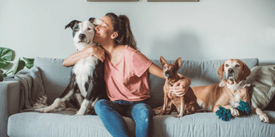 Pet Care and Psychology Diploma (Level 3 & 5)
