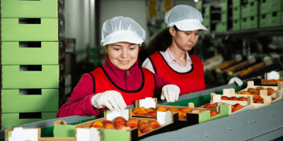 Level 3 Food Hygiene and Safety in Manufacturing