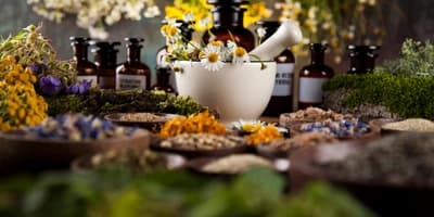 Bach Flower Remedies Mastery